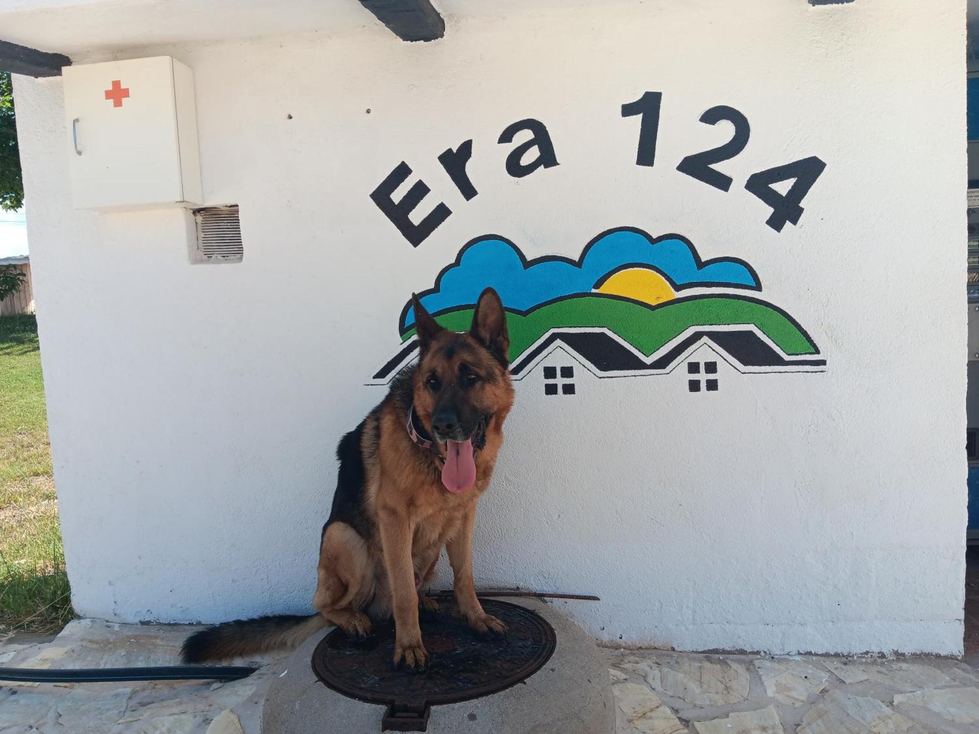 Appartamento Era 124 Zafra de Záncara Esterno foto
