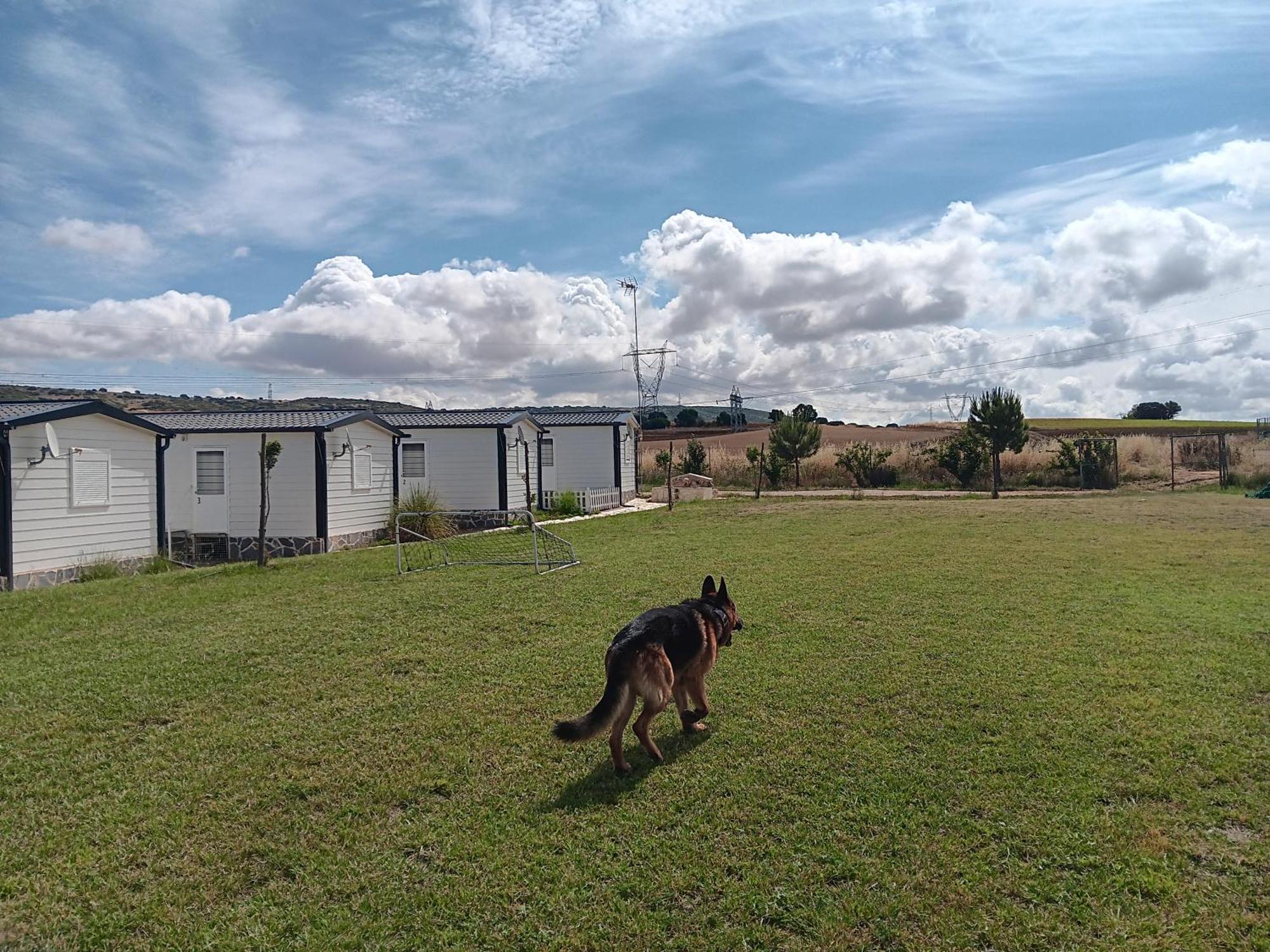 Appartamento Era 124 Zafra de Záncara Esterno foto