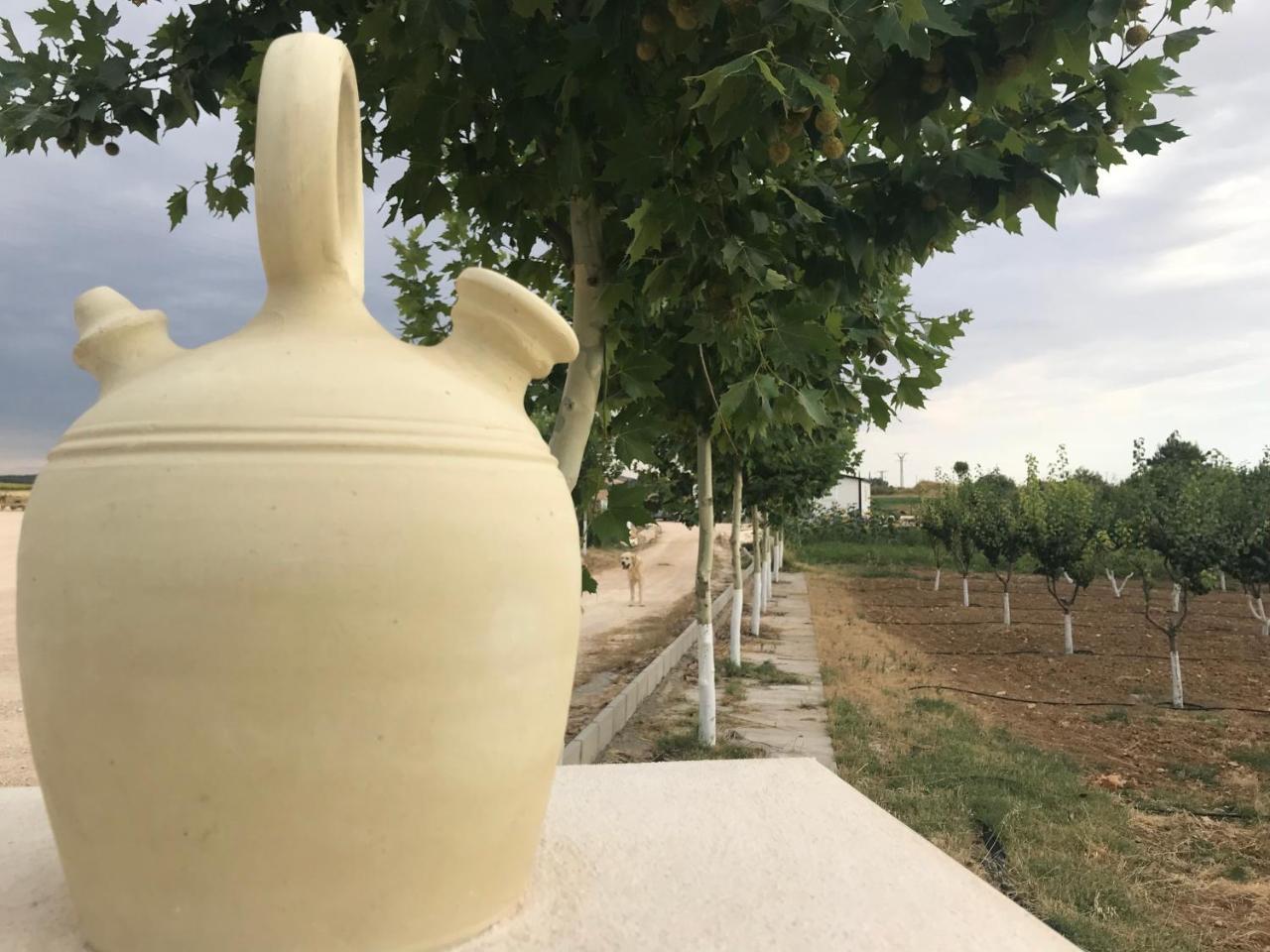 Appartamento Era 124 Zafra de Záncara Esterno foto