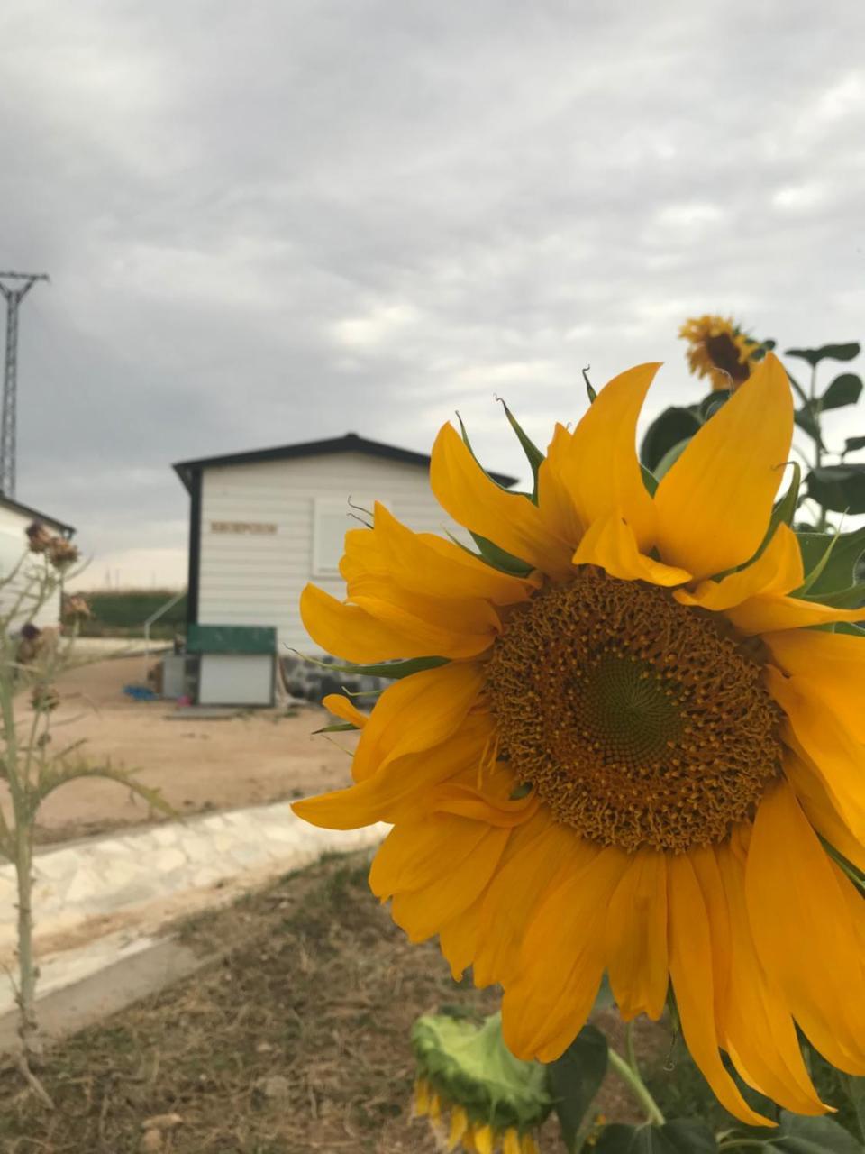 Appartamento Era 124 Zafra de Záncara Esterno foto